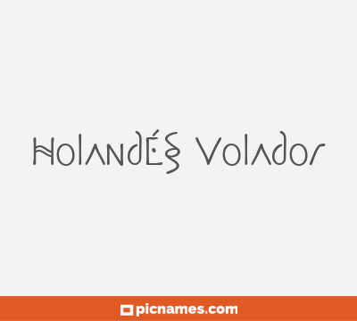 Holandés Volador